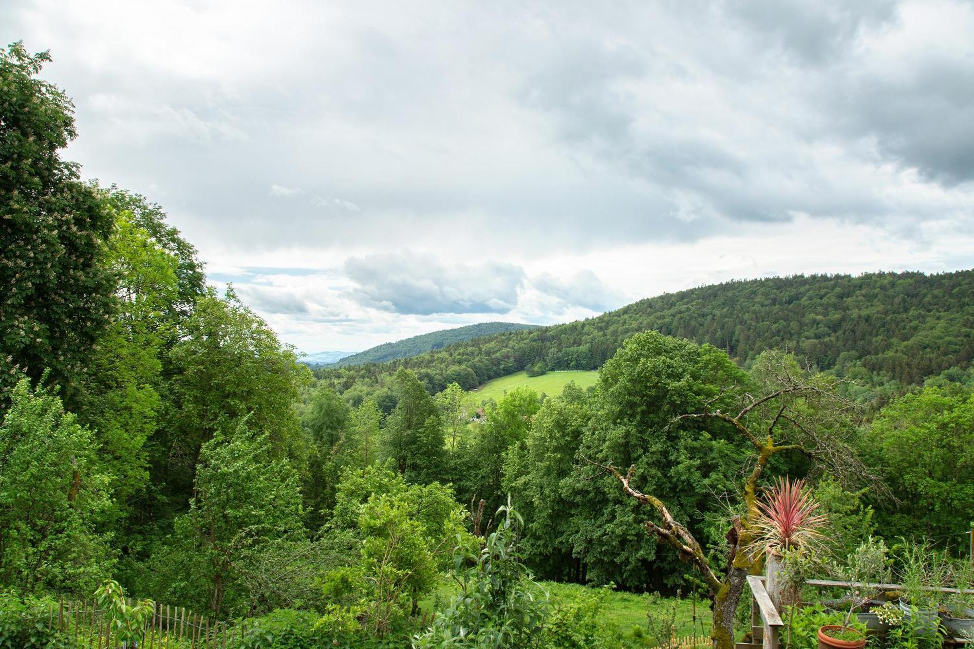 Landhaus Am Eselhof Daxstein Schöllnach Zewnętrze zdjęcie